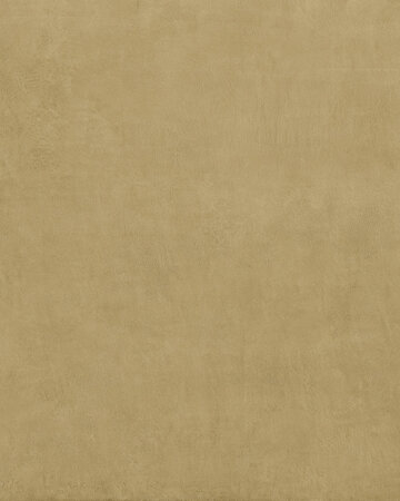 BALANCE MUSTARD
