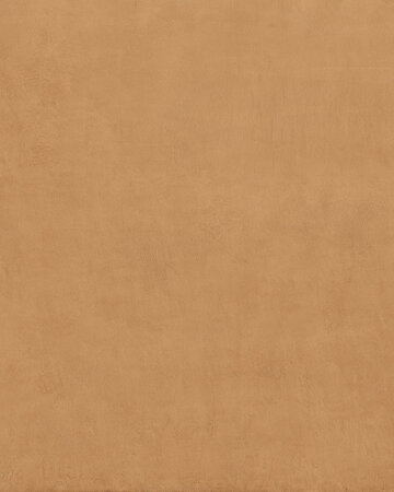 BALANCE ORANGE