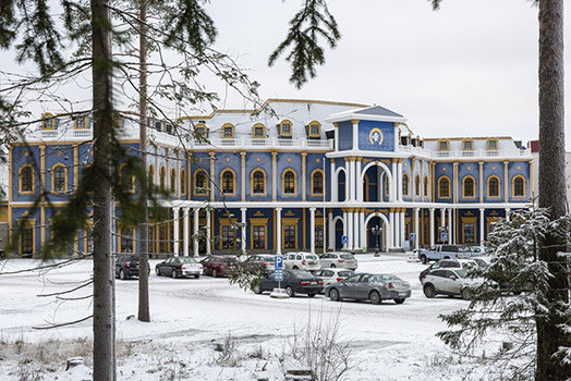 KYLÄKAUPPA VILLAGE SHOP