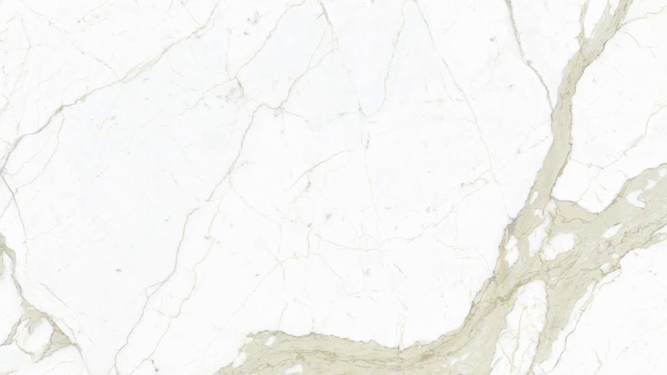 MARMI - White Calacatta